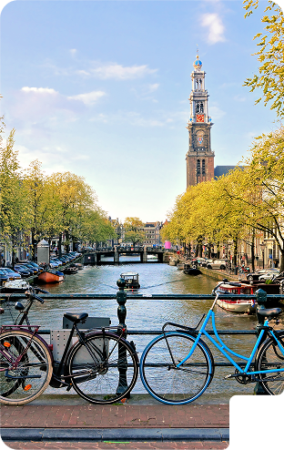 re-integratie-amsterdam-reveal